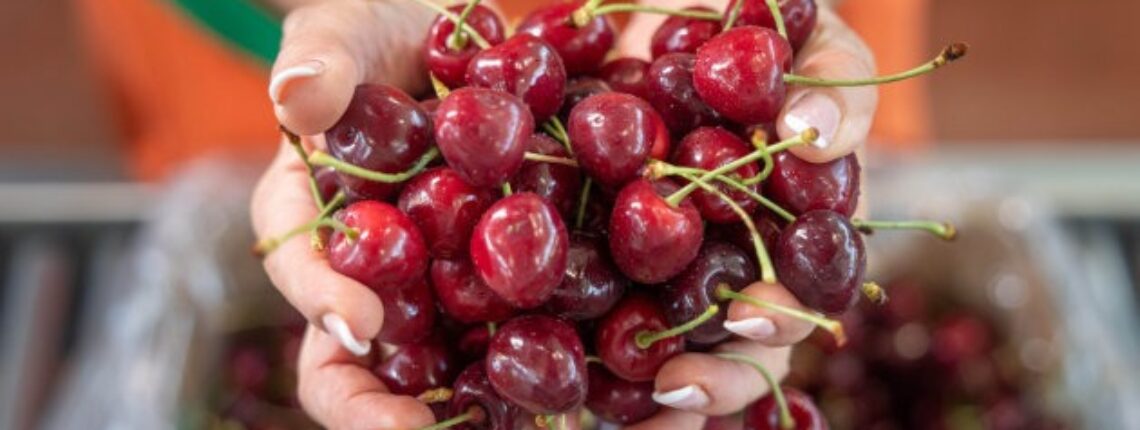 Artificial Intelligence For Cherry Packing