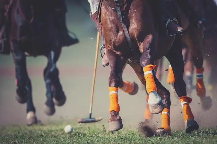 Crypto Polo Cup Set To Debut In Dubai, Uniting World-Class Polo Players And Web3 Enthusiasts