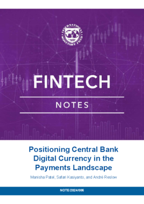 Positioning Central Bank Digital Currency in the Payments Landscape