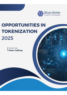 Opportunities in Tokenization 2025 – Blue Water