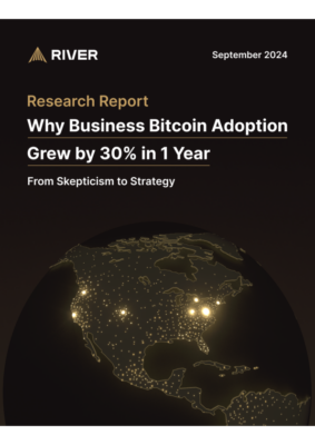 Why Business Bitcoin Adoption Grew by 30% in 1 Year