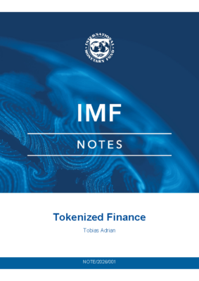tokenized-finance-imf-notes
